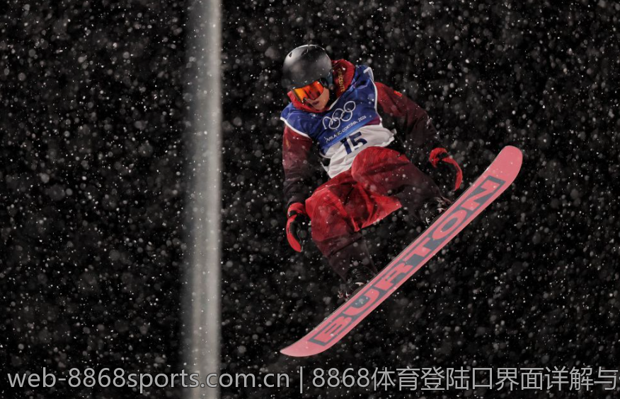 8868体育登陆口界面详解与体验